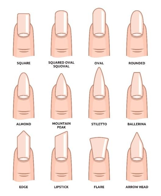 Graphic of 12 different nail shapes