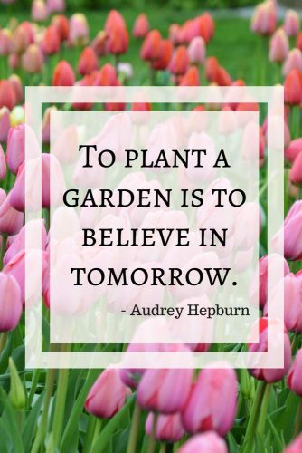 To plant a garden is to believe in tomorrow.