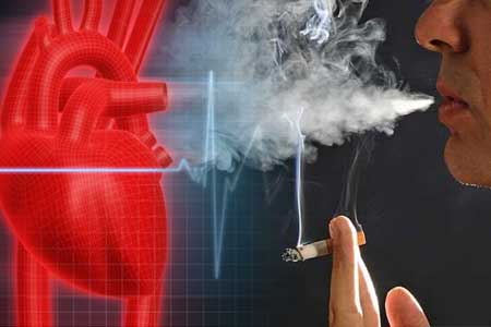 Smoking And Human Body: Effects You Need To Know - Ladylife