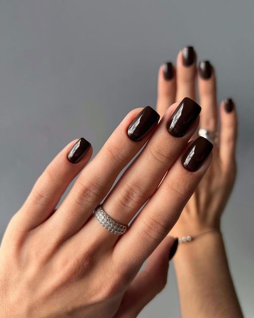 Brown Nail Designs 100+ Best Different Shades of Brown Nails LadyLife