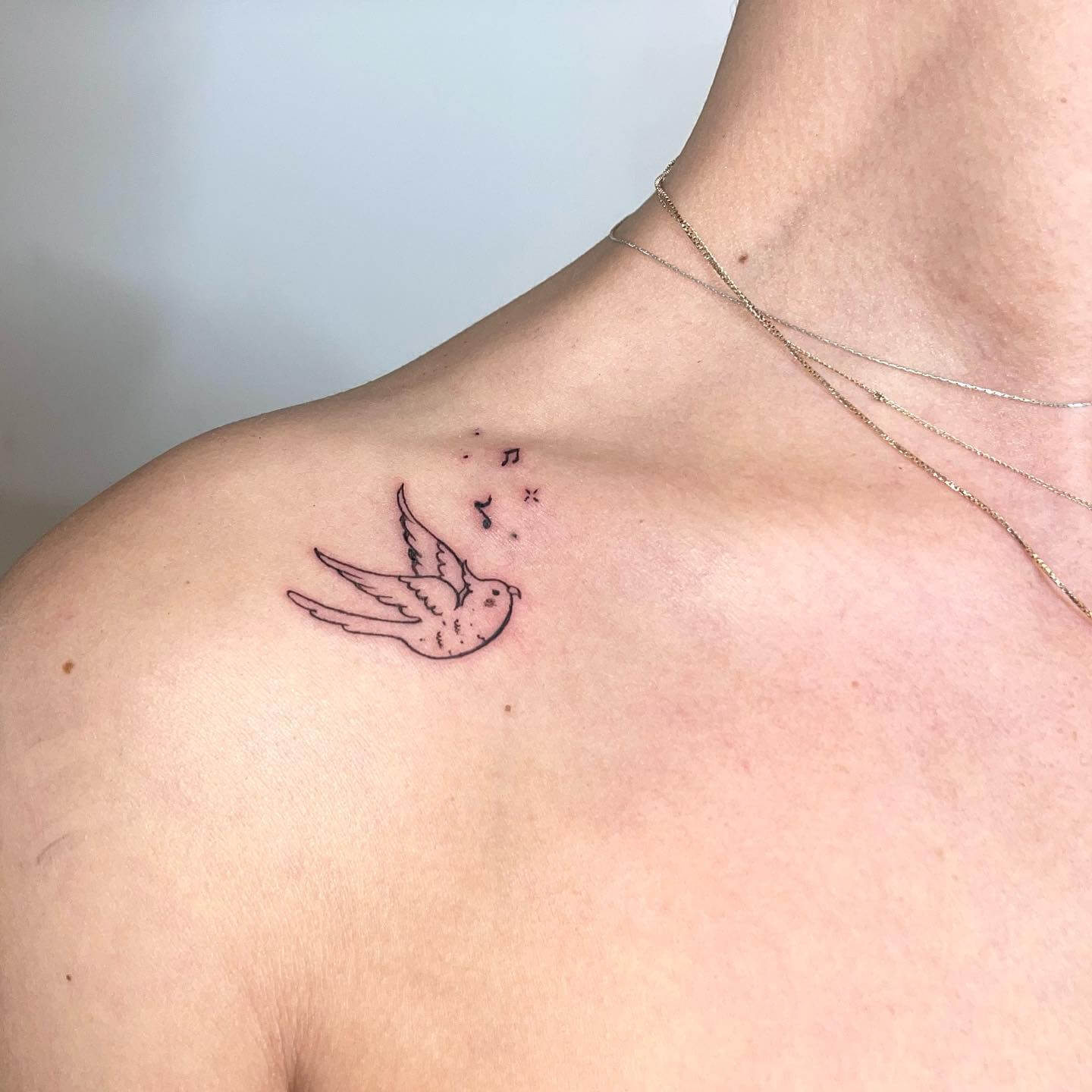 Bird Tattoo On Collarbone